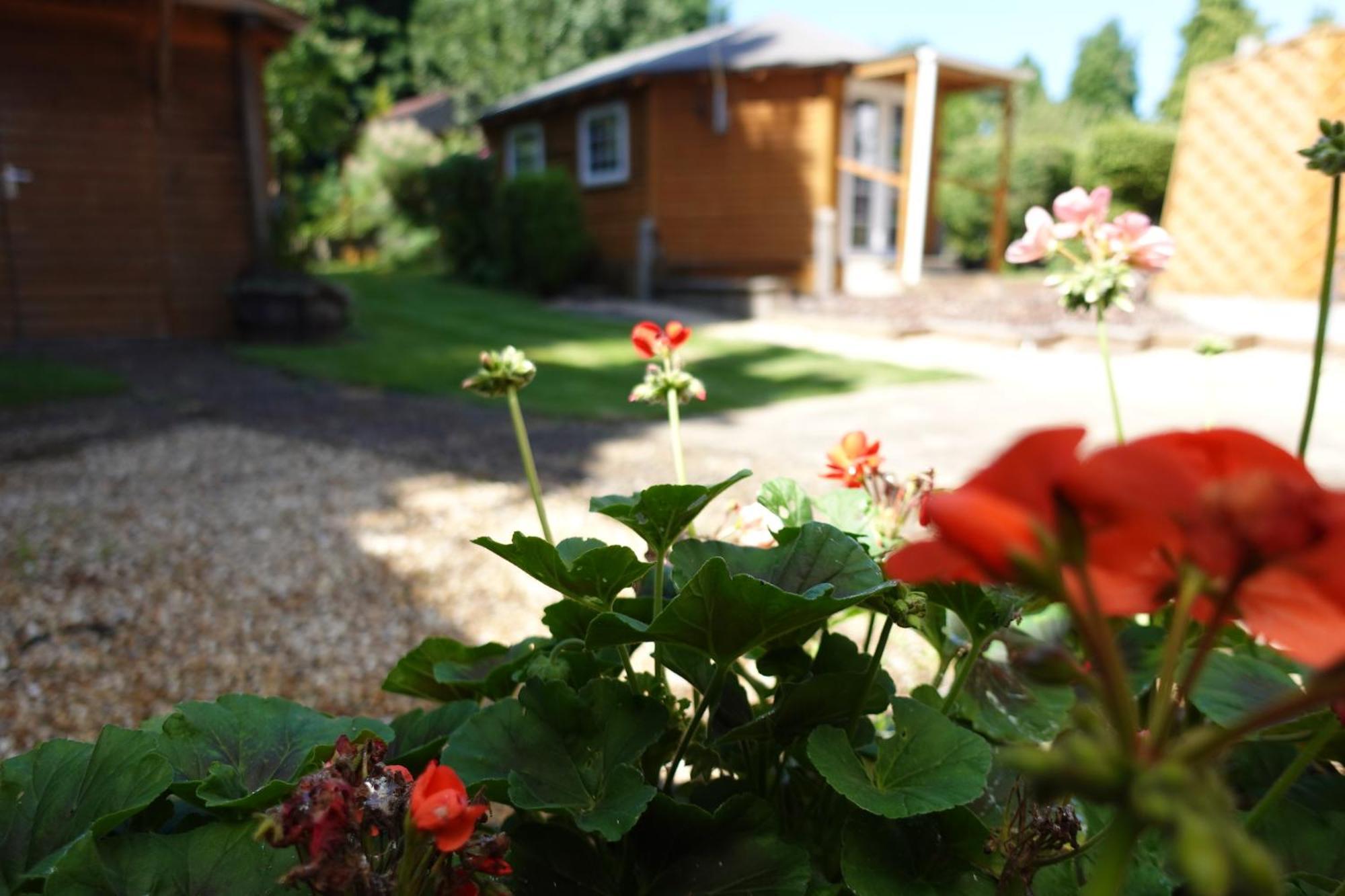 Huge 9 Bed Property Sleeps 17, Near Nec, City Centre, Hs2 Birmingham Buitenkant foto